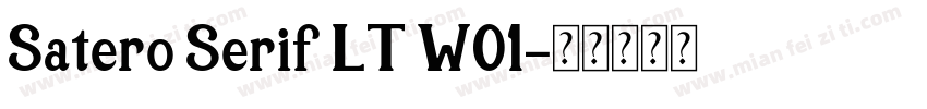 Satero Serif LT W01字体转换